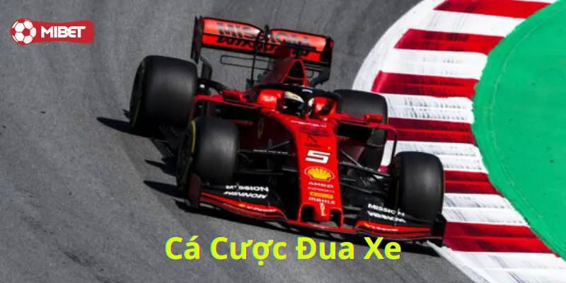 Cá Cược Đua Xe - Chinh Phục Sân Chơi Gây Cấn