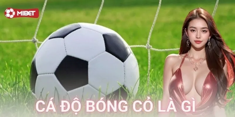 Cá độ bóng cỏ là gì – Bí quyết soi kèo đỉnh cao