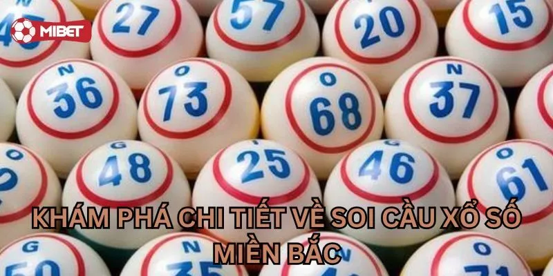 Bí Quyết Soi Cầu Xổ Số Miền Bắc Mibet Chuẩn Xác Nhất
