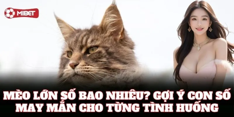 Mèo Lớn Số Bao Nhiêu gợi ý lô đề chuẩn
