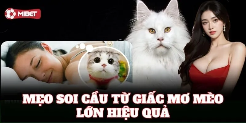 Mẹo đánh lô Mèo Lớn Số Bao Nhiêu