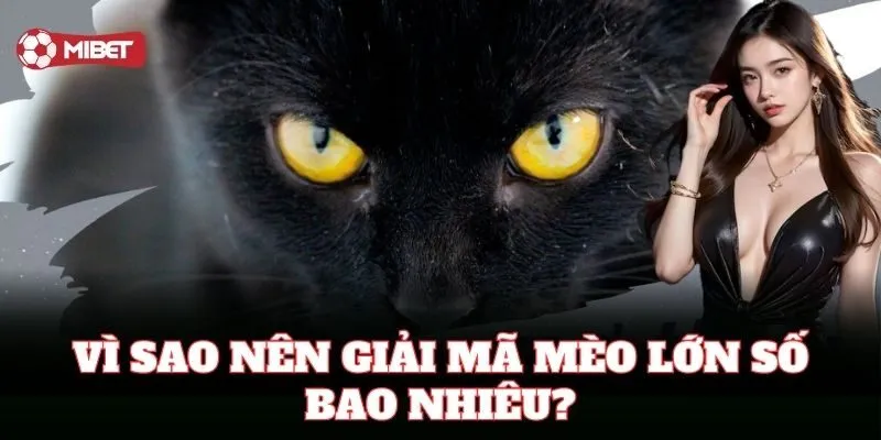 Mèo Lớn Số Bao Nhiêu trong giải mã giấc mơ